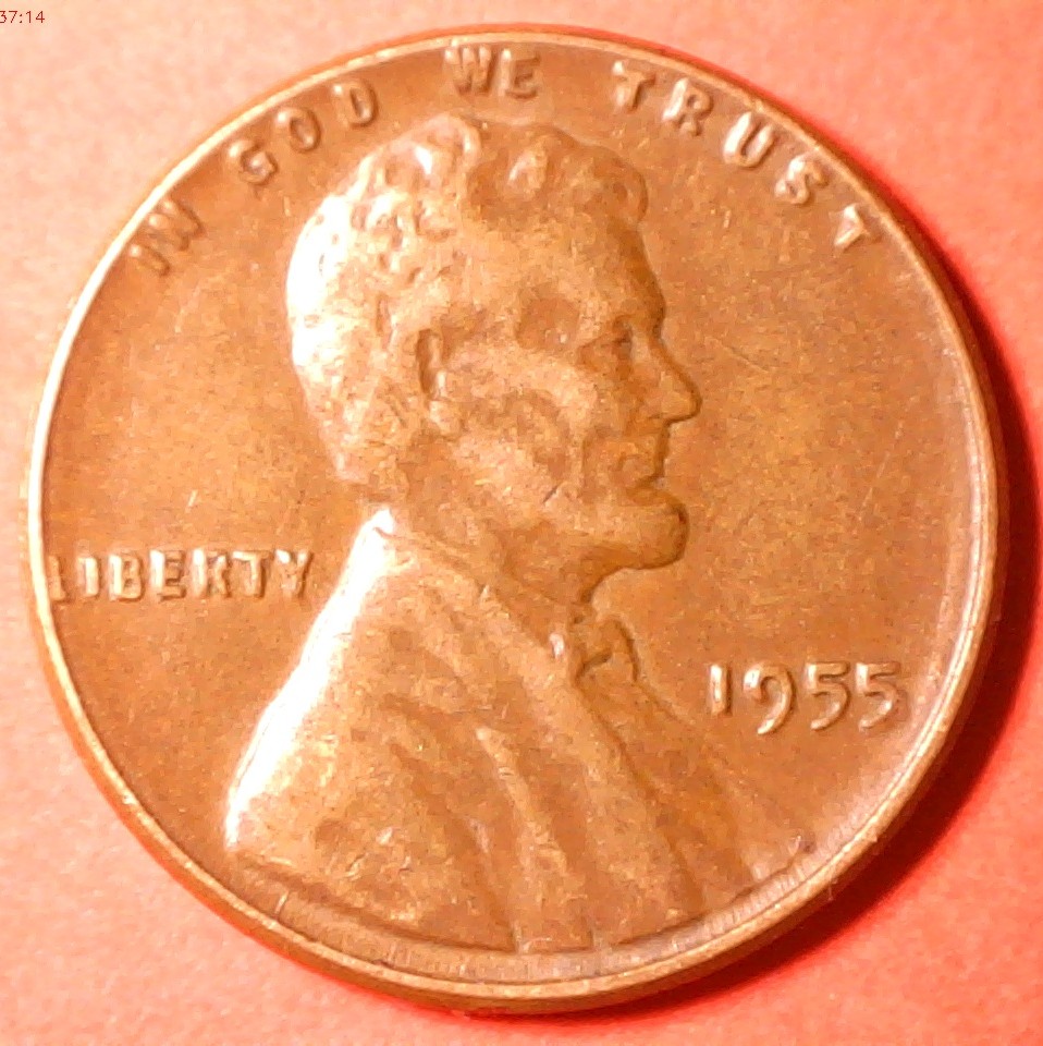 1955-Wheat-Cent:-Ldb34-1955-001-Different-Stage-Maybe-?
