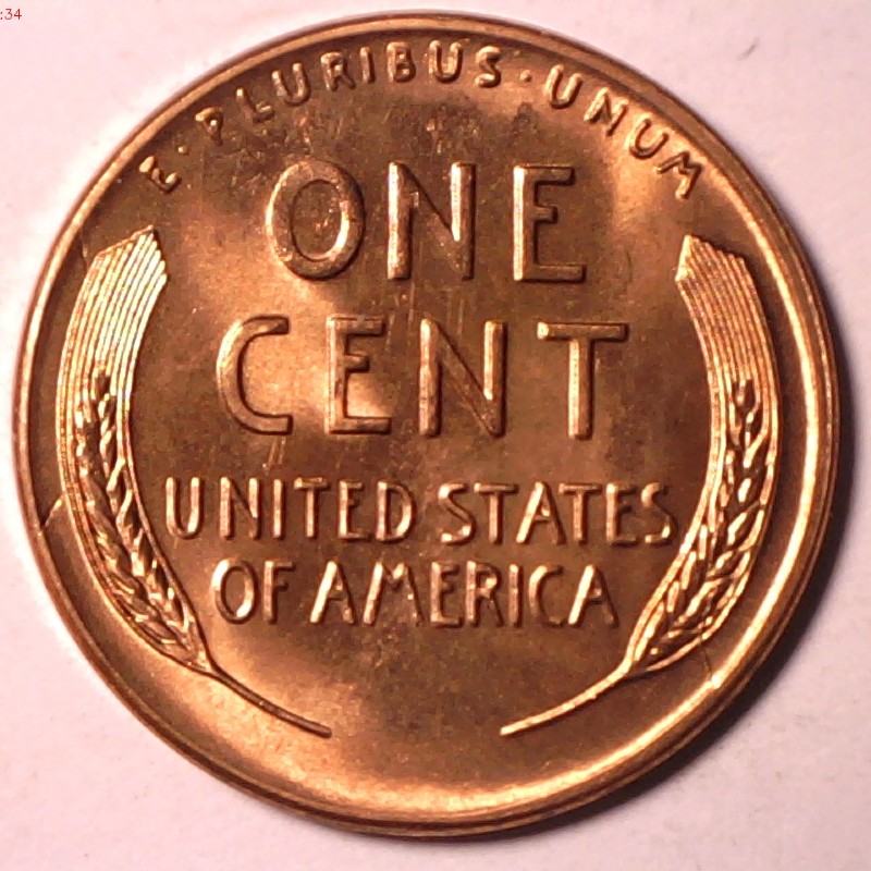 1955-S-Lincoln-Early-Stage-Retained-Cud
