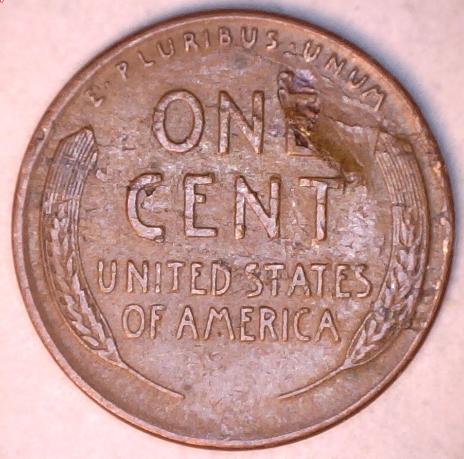 1946-Lincoln-Cent-Reverse-Lam