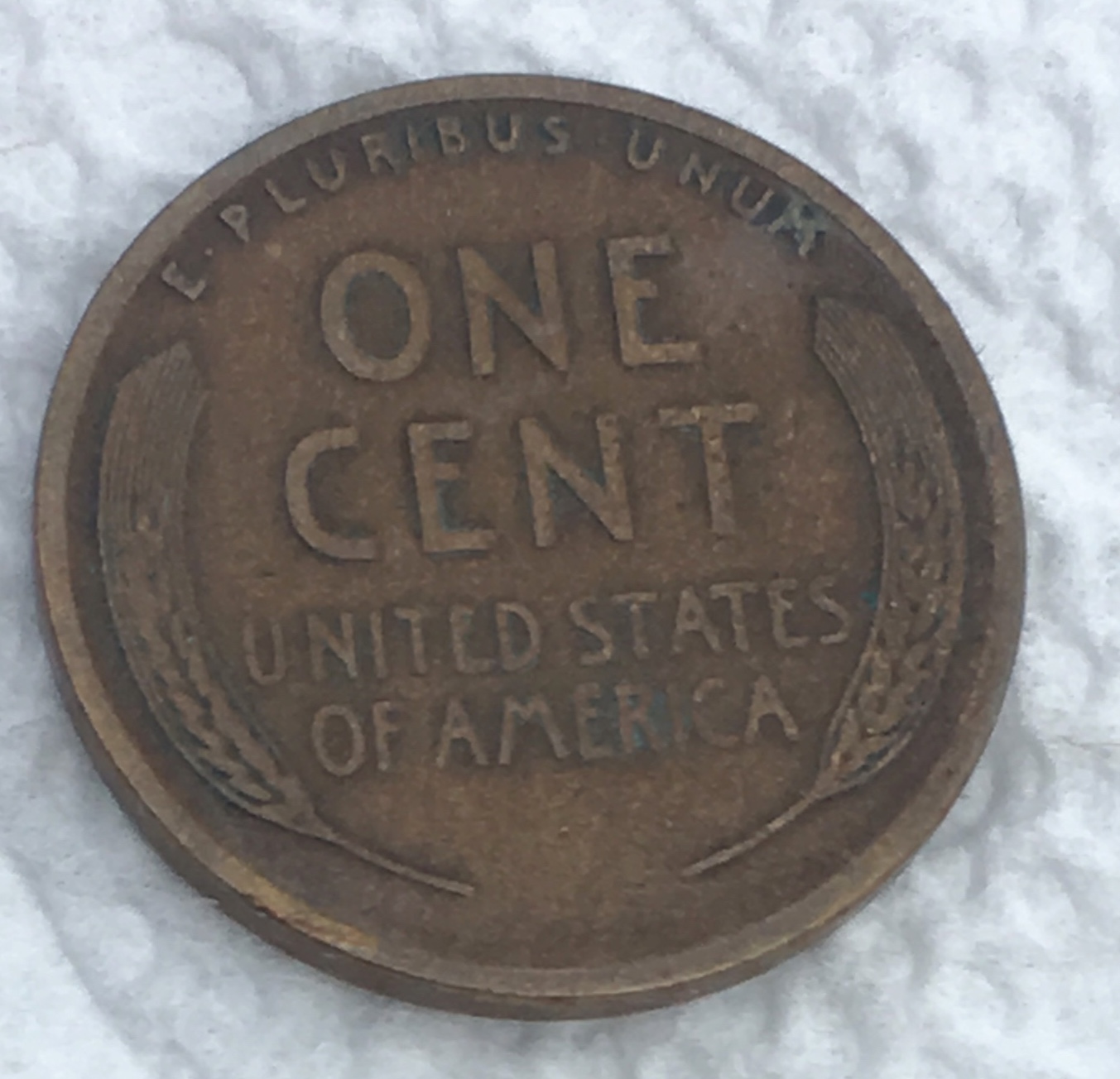 1915-S-Lwc-Please-Help-Grading