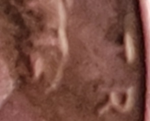 Lincoln-Cent-2023---Possible-Errors