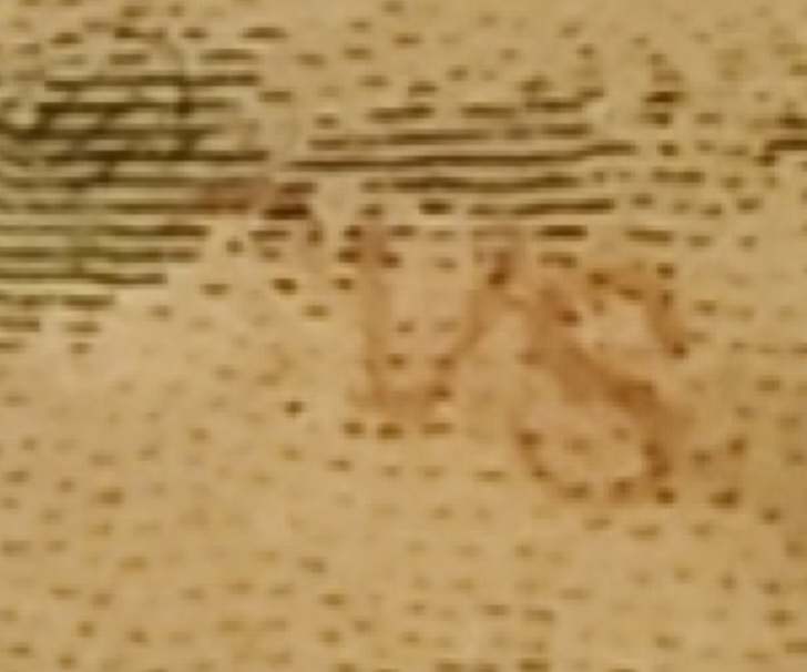 2013-U.s-$50-Bill-With-Multiple-Questions