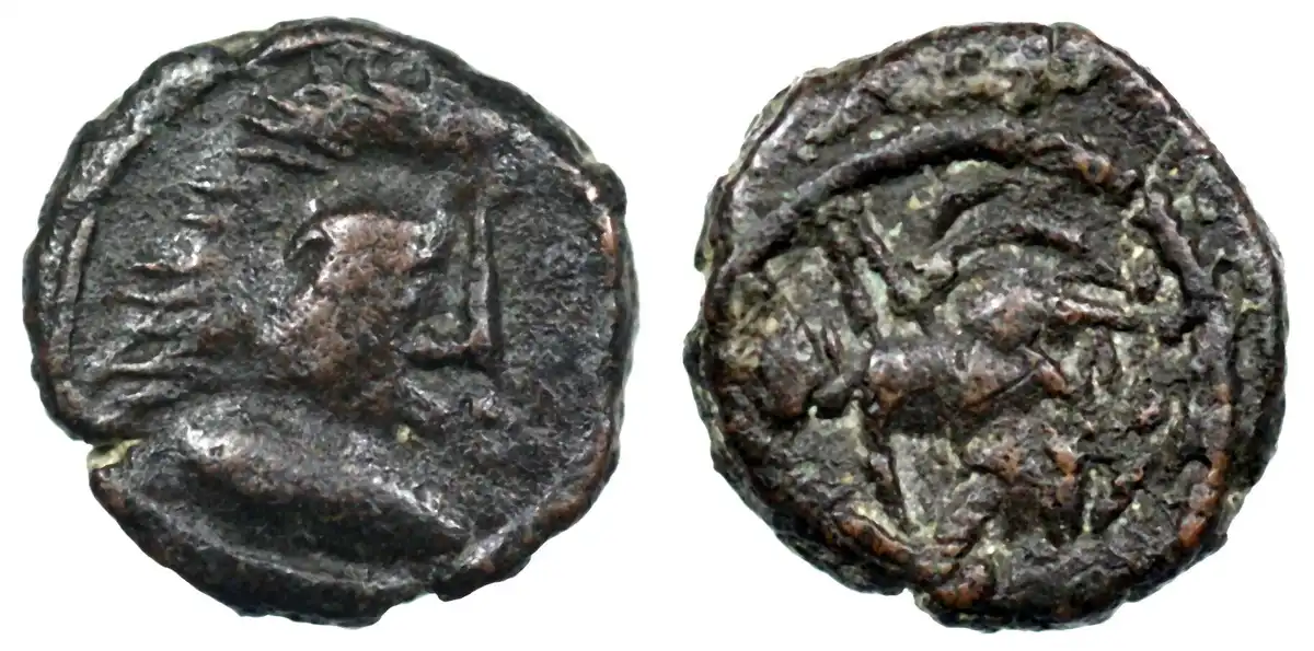 Help-With-Identification-Please.