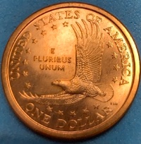 2000-P-Sacagawea-Dollar-Coin:-Pls-Take-A-Look,-Opinions-Very-Much-Welcome!