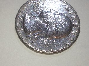 Rear--Rear-Error-1977-D--Washington-Quarter-Nice
