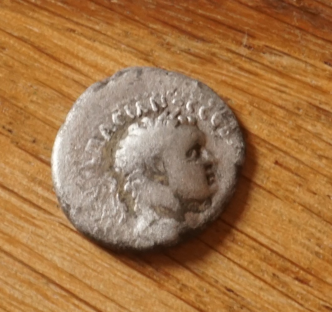 Early-Quinarius-Type?