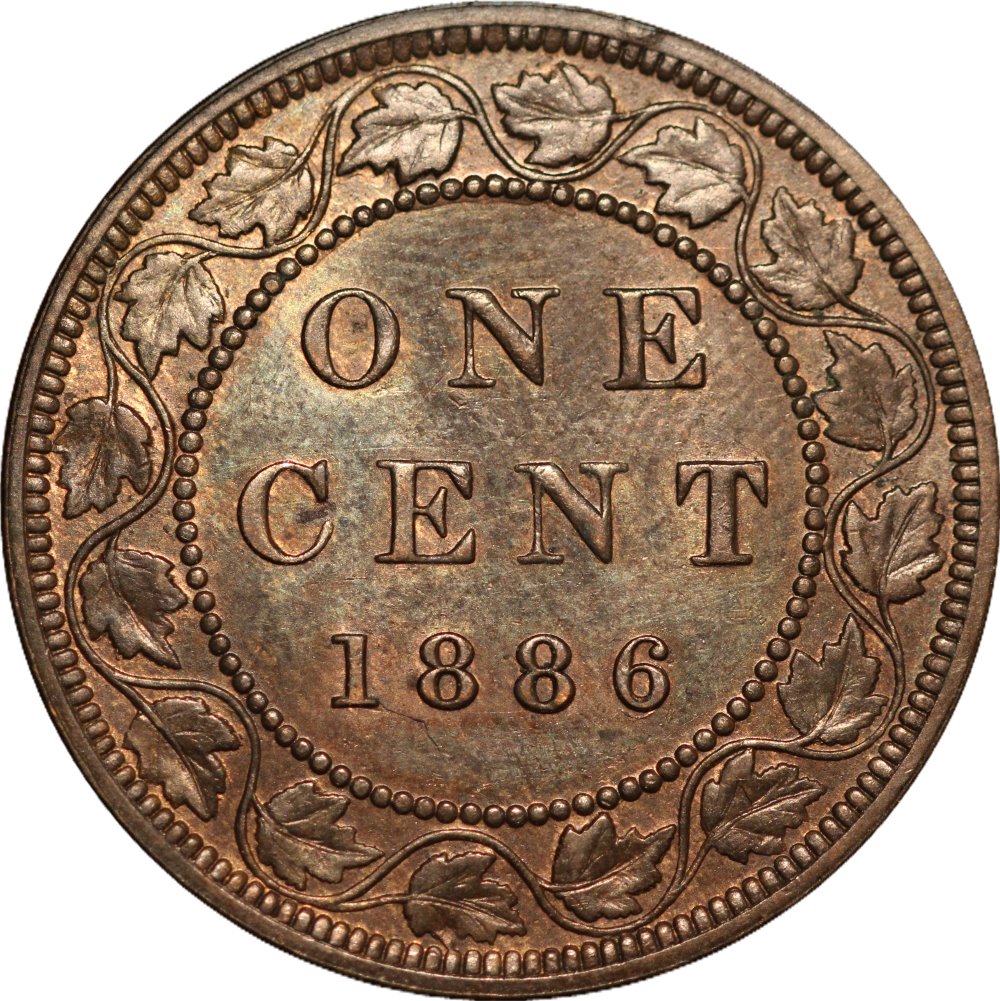 1886-With-Nice-T/P-6