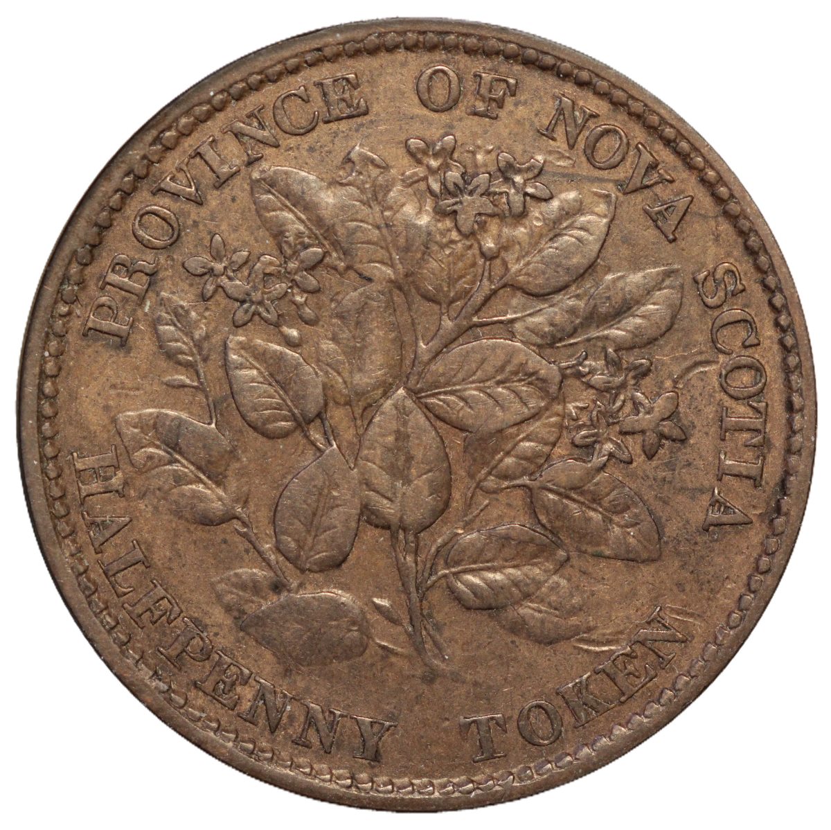 1856-Province-Of-Nova-Scotia-Halfpenny-Token