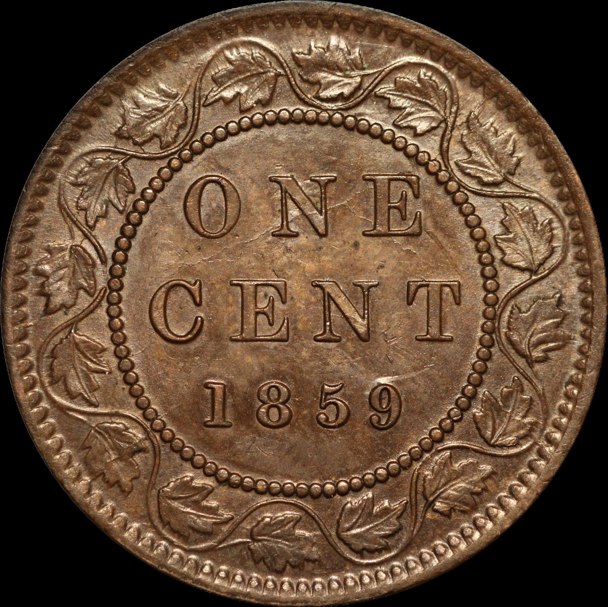 Help-Grade-This-1859-Pc-244-With-Die-Clash-9-Under-Chin