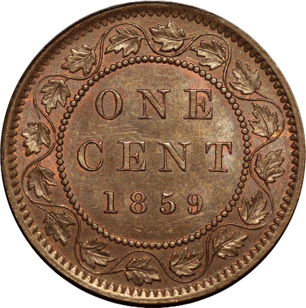 1859-Vicky-Is-A-Double-1-And-Double-8-Indicative-To-A-Certain-Haxby?