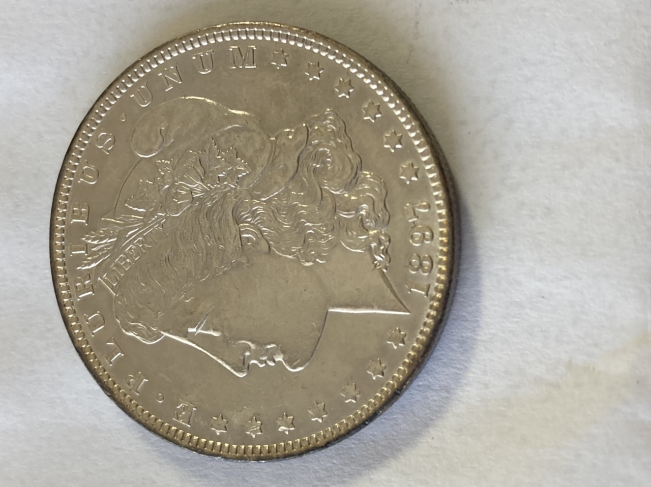 Inherited-Morgan-Dollar-Collection