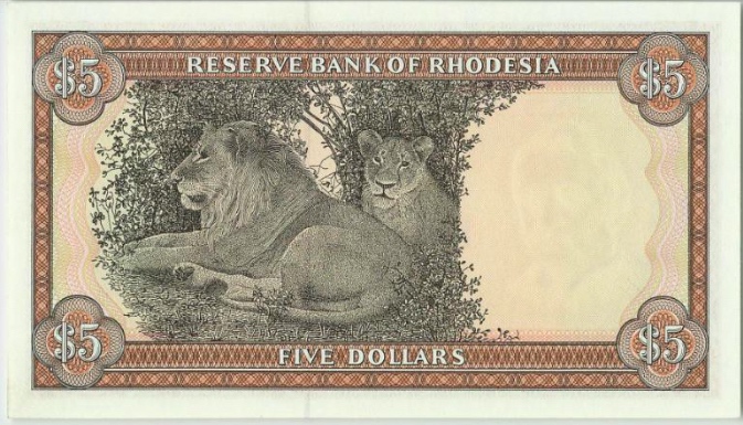 Post-Your-Notes-With-A-Lion