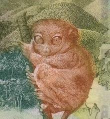 Monkeys-And-Other-Primates-On-Banknotes