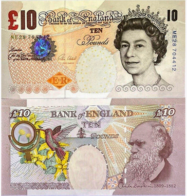 How-Far-Back-Can-We-Go?---With-Banknotes!-Third-Edition