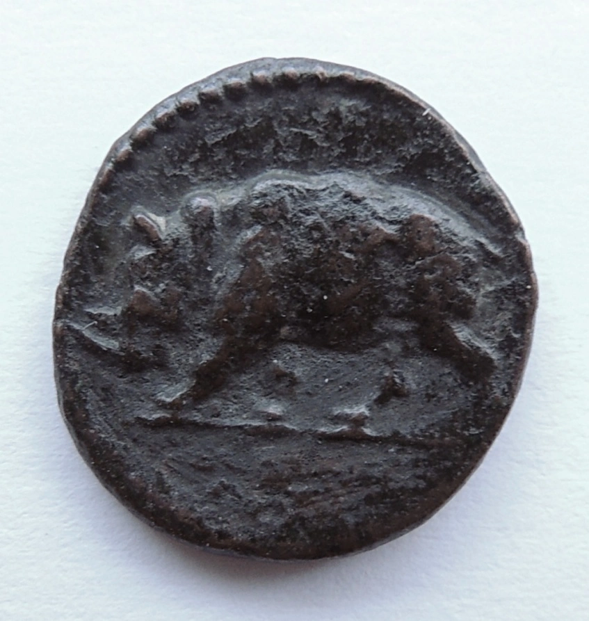 ID-Help---Roman-Coin-With-Rhinoceros
