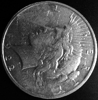 1922-D-Peace-Dollar-Can-You-Grade?