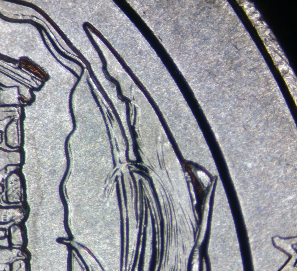 How-Common-Is-This-Homestead-Feature?