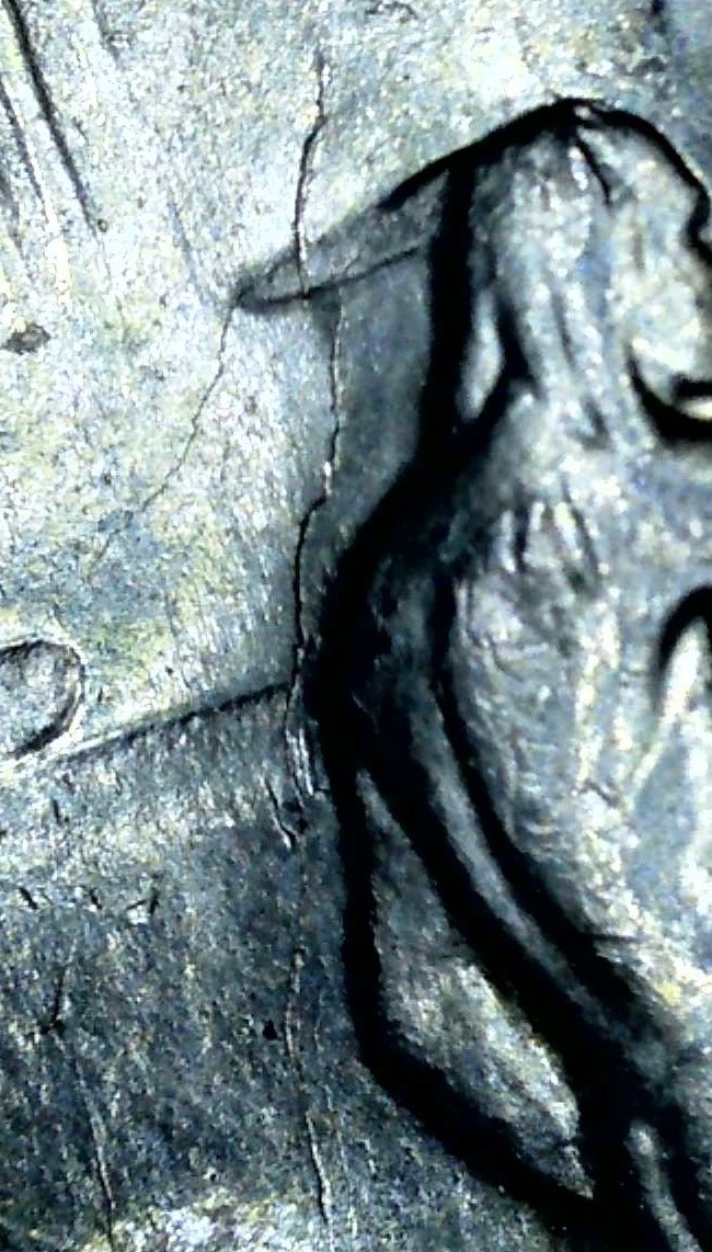 Is-This-A-Die-Crack-Or-A-Crack-In-The-Coin-Or-?