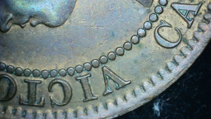 1859-Vicky-Is-A-Double-1-And-Double-8-Indicative-To-A-Certain-Haxby?