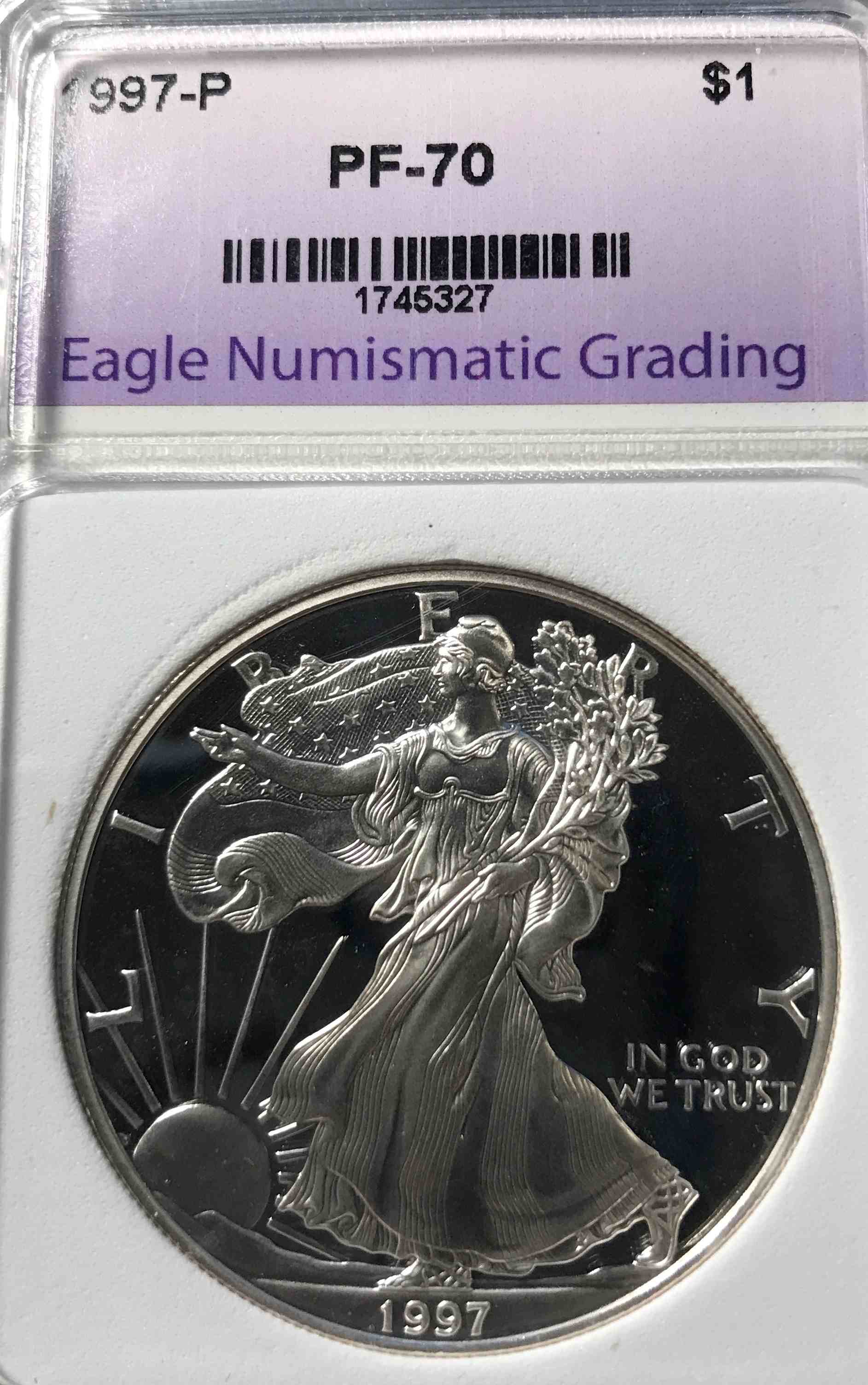 Eagle-Numismatic-Grading-?-Anyone-Heard-Of-Them-?