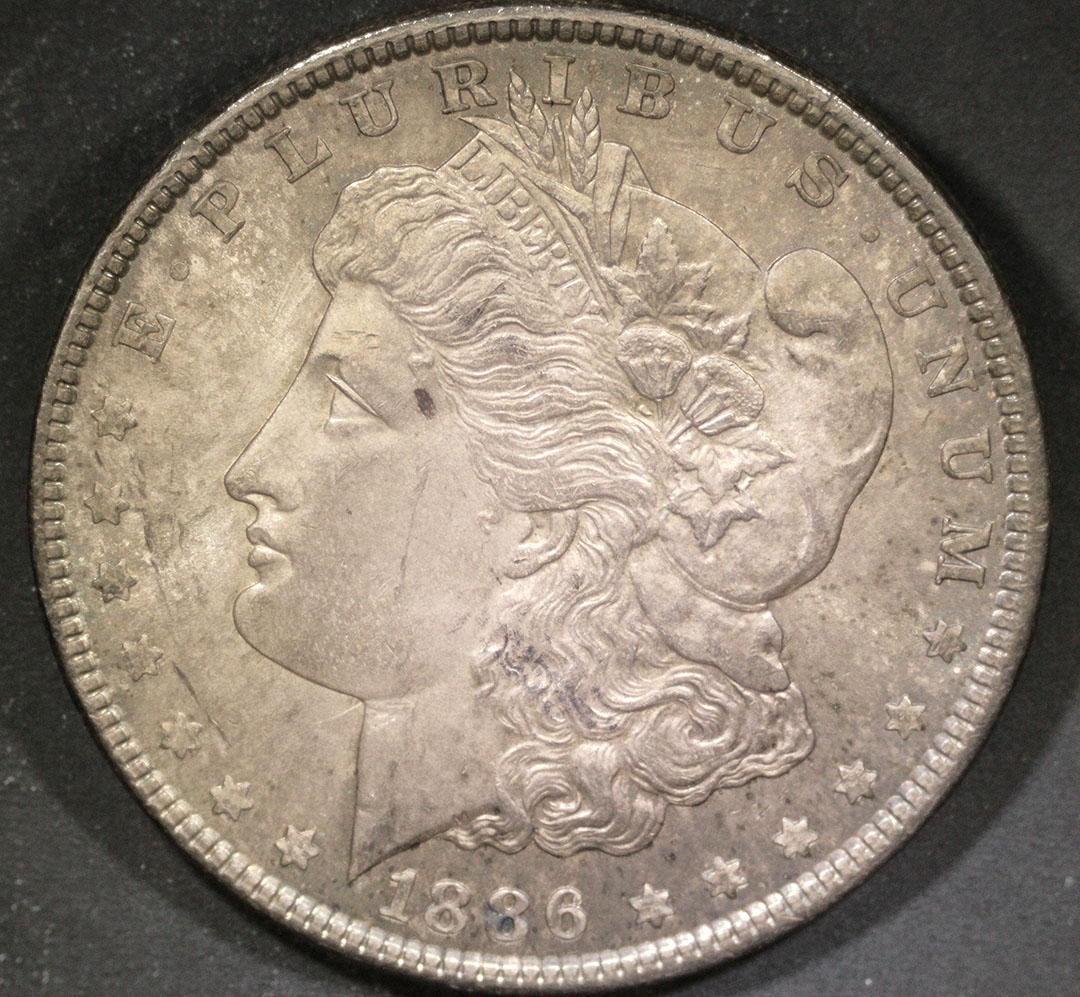 1886-P-Morgan-Silver-Dollar---Trouble-Iding-VAM