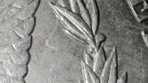 1886-P-Morgan-Silver-Dollar---Trouble-Iding-VAM