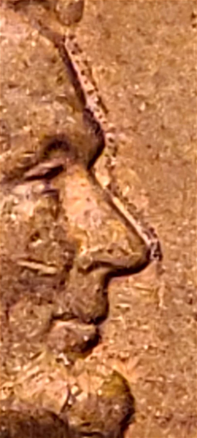 1965-Penny-Strange-Doubling-On-Obverse?
