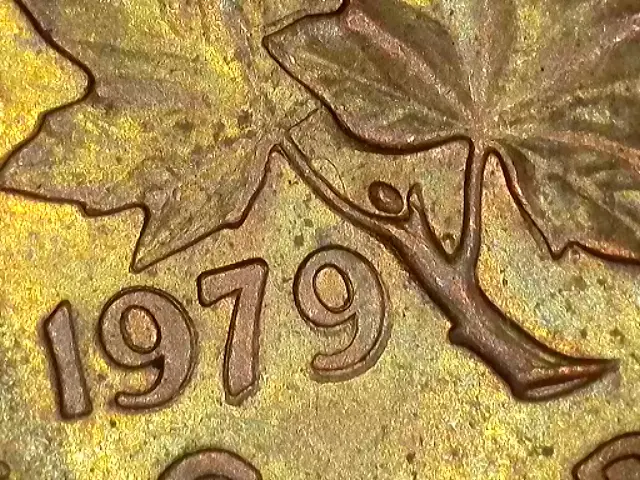 Penny-And-Nickel-Customer--Wrapped-Rolls