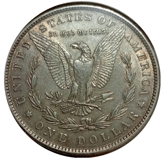 1881-P-VAM-1-H-Morgan-Dollar---Seemingly-Uncommon