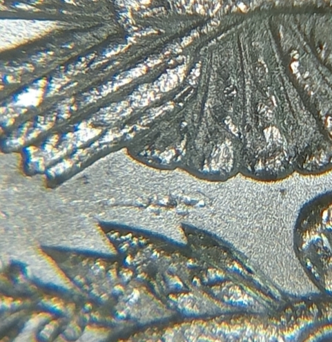 1889-O--Morgan-Dollar-Clashed-Reverse-+-Obverse---Help-With-VAM