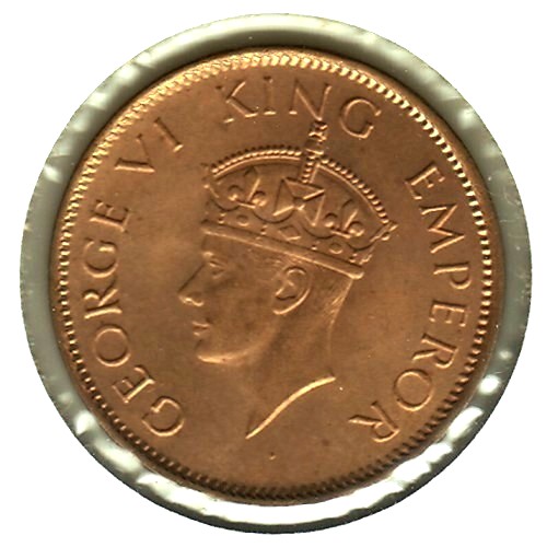 166-Days-Of-Yakko's-World-Coins