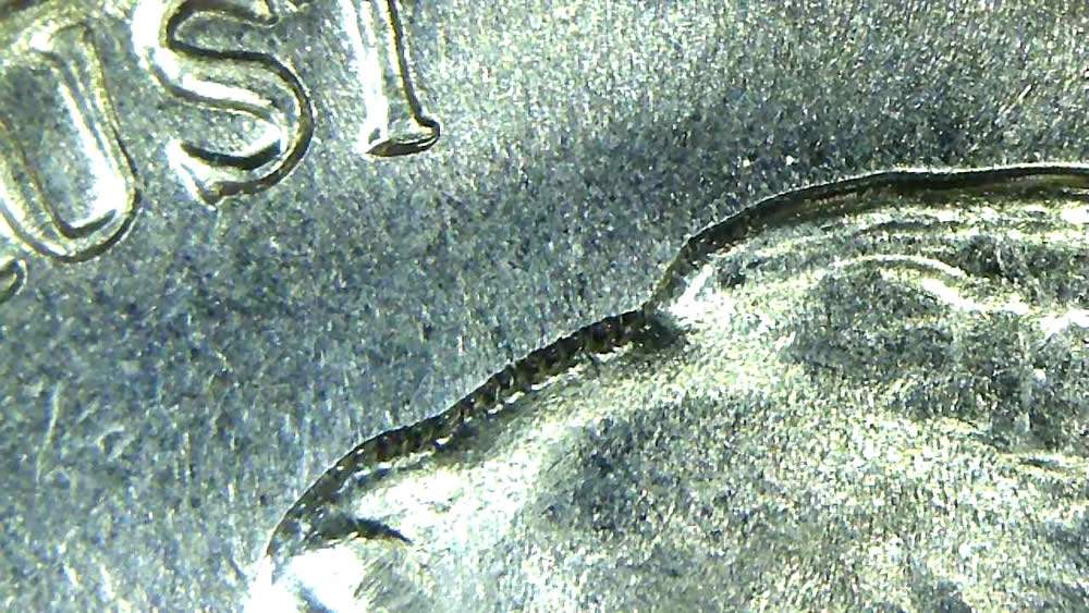 1960-D-Jefferson-Nickel-With-Unknown-Obverse-Issue-Between-Portrait/Field.
