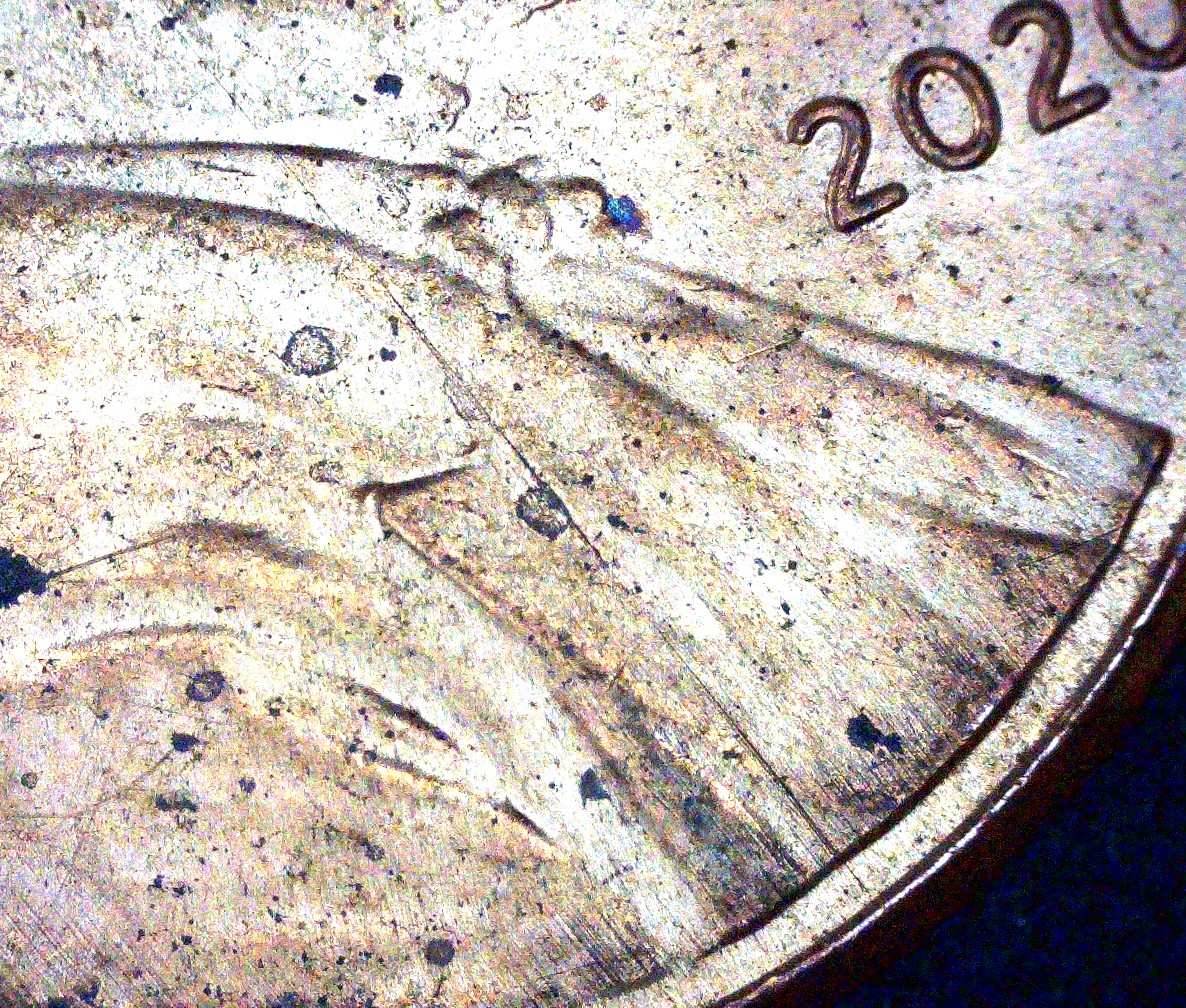 2020-LSC-Striations-North-To-South