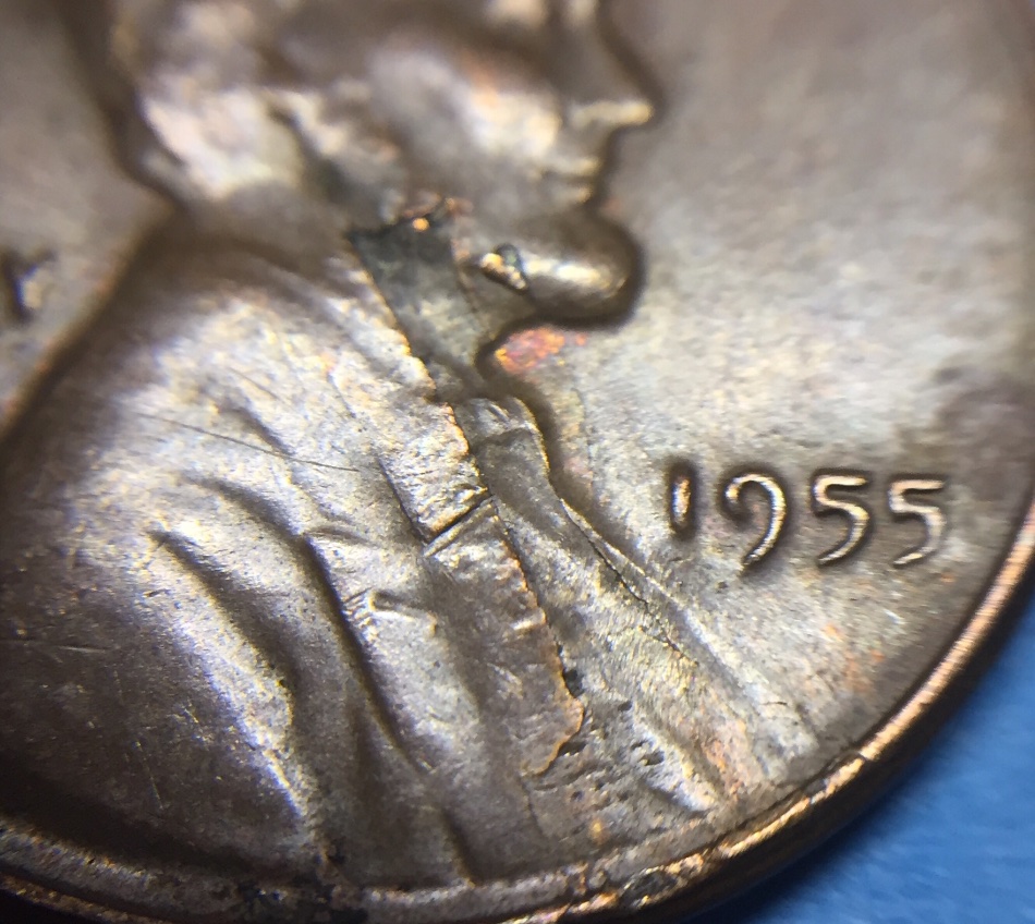 1955-LWC-Neat-Dlam/Peel