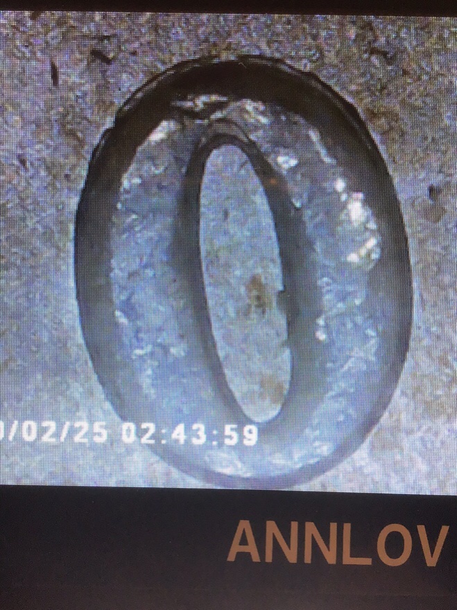 1900-O-MS-63-VAM29A-Value?