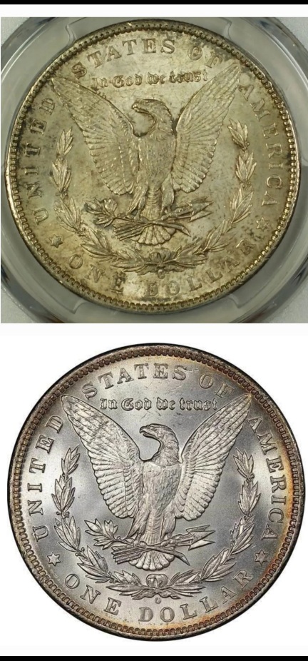 Do-You-Think-This-1899-Morgan-Is-A-Micro-O?