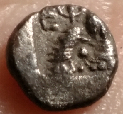 Obol?-Bee-Coin---Need-Help-With-ID-Please