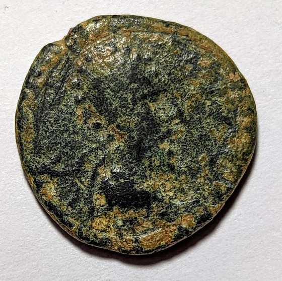 Need-Help-With-Identification-Please.-Thanks!