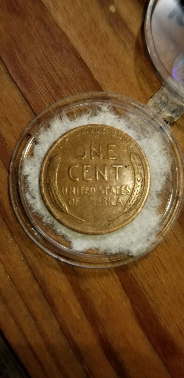 1946-S-Wheat-Penny-That-Weighs-2.3-Grams