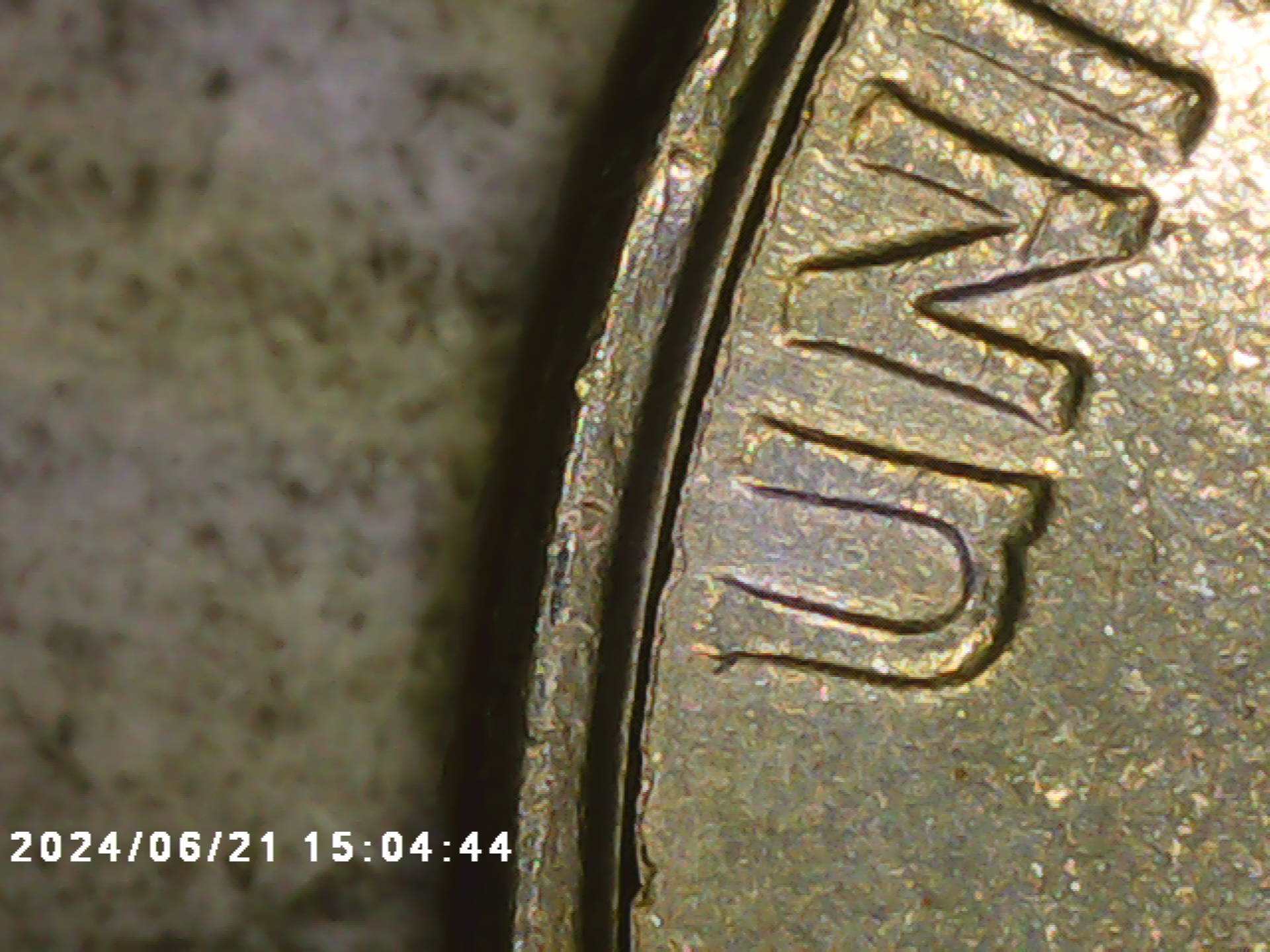 Well-Sombody-Tried-2-Headed-Quarter