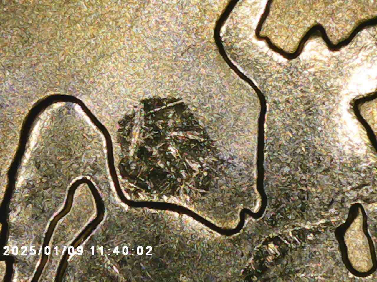 2007-P-Wyoming-Quarter-Die-Clash