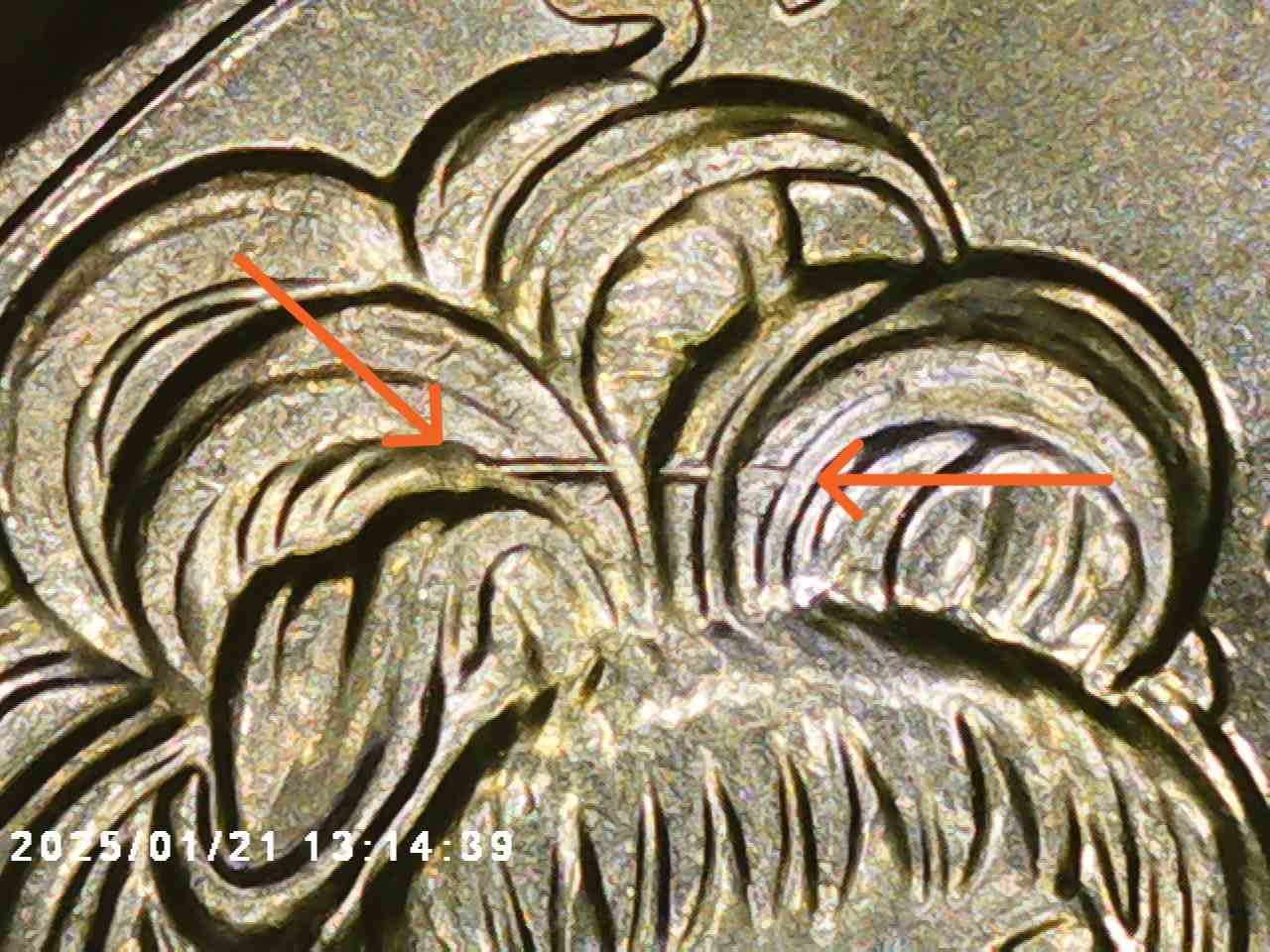 2024-P-Celia-Cruz-Quarter-Doubling-In-Hair