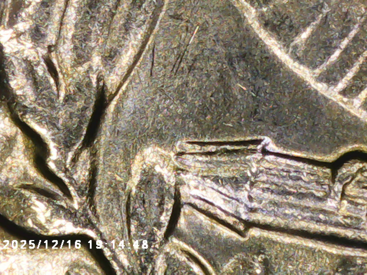 Yldcoin's-Quarter-Roll-Finds
