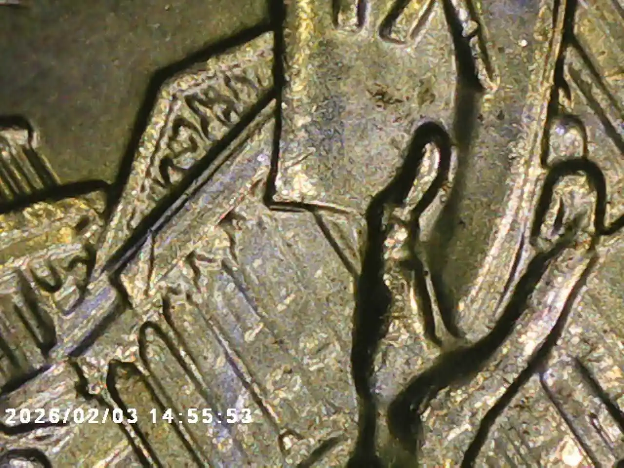 Yldcoin's-Quarter-Roll-Finds