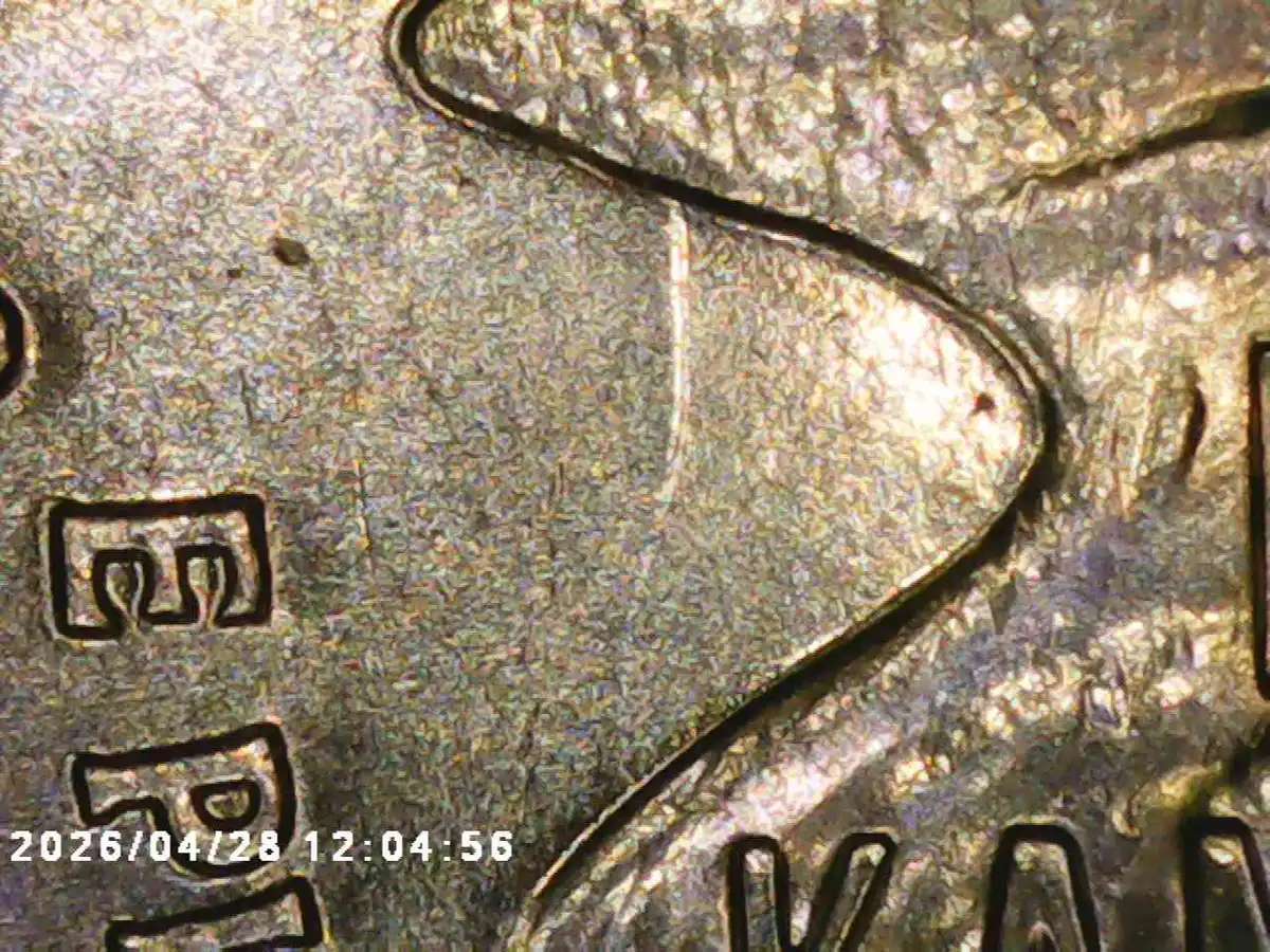 Yldcoin's-Quarter-Roll-Finds