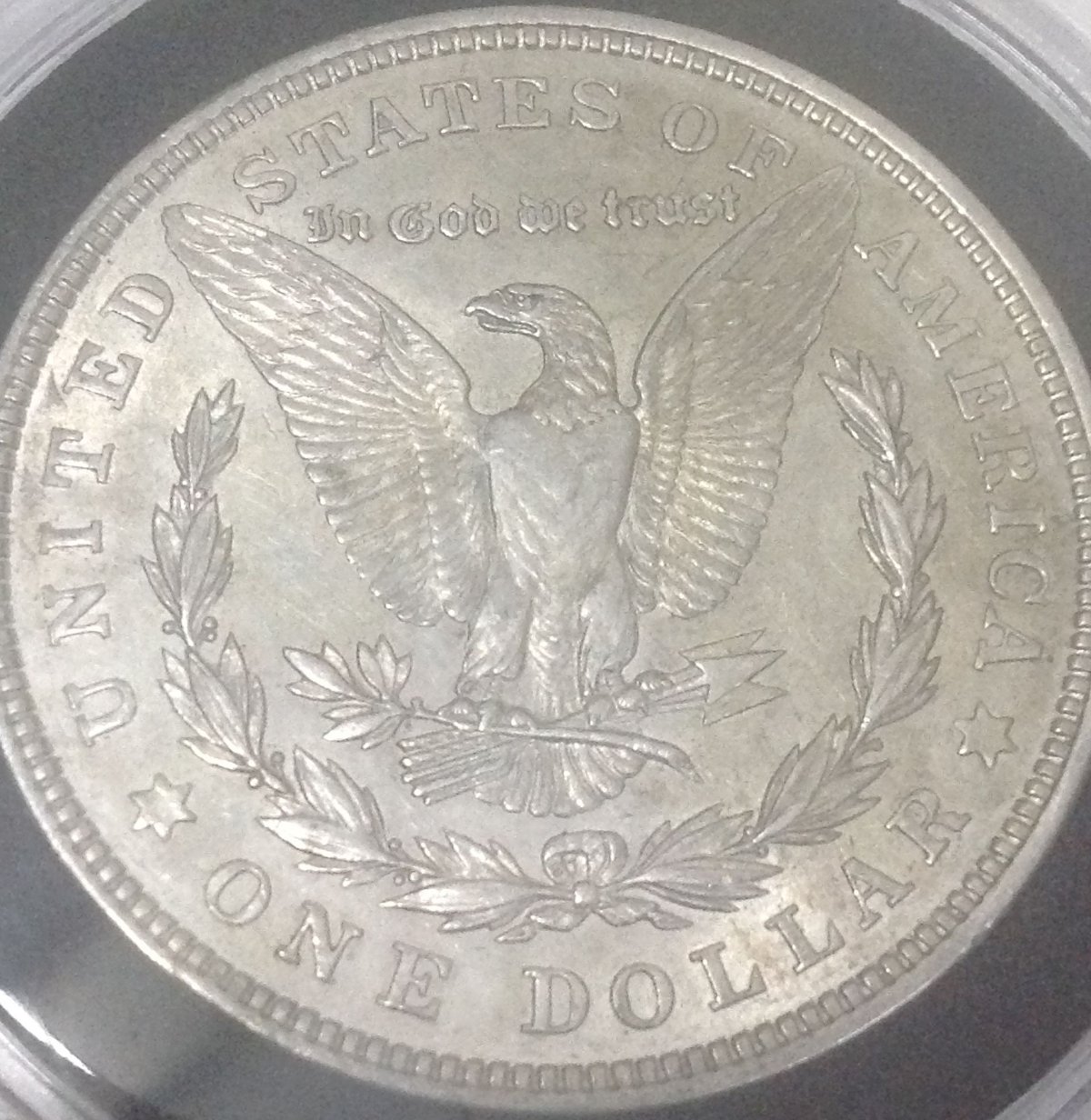 Morgan-Dollar-Found-At-Estate-Sale