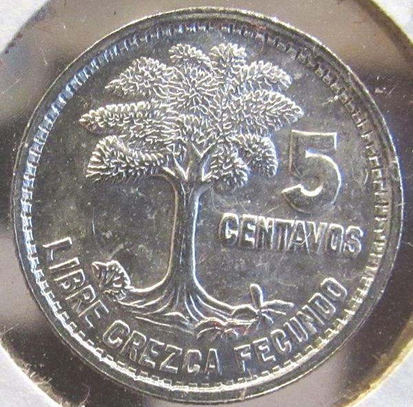 New-Find---Guatemala-1955--5-Cent.-Silver-Sharp-B.unc.-Double-Die