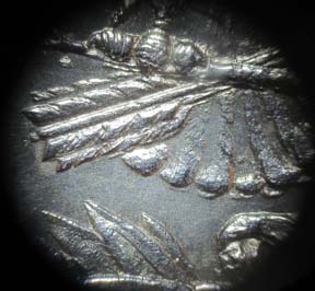 1878-P-Morgan-Dollar:-Need-Help-Finding-This-VAM---Please-Check-Out-The-Excellent-Pictures.