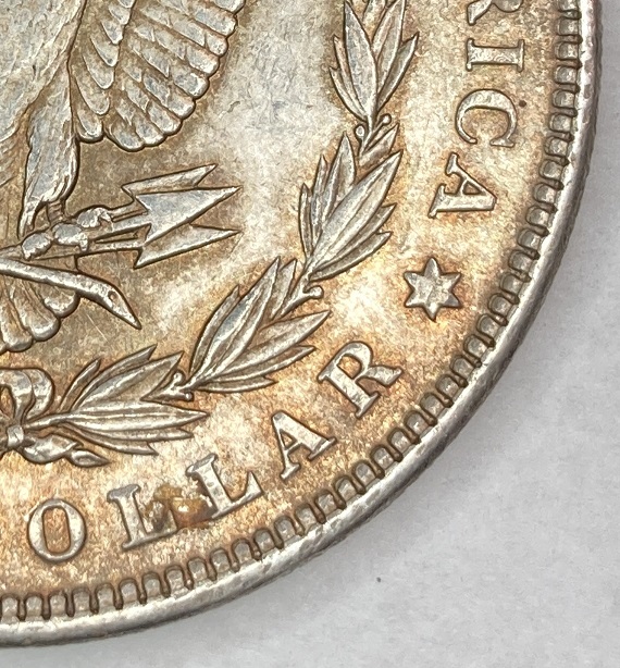 1896-Morgan-For-Grading