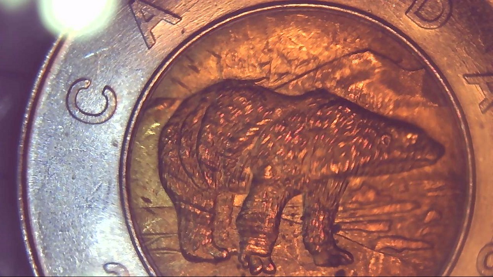 Counterfeit-Toonies-Are-Going-To-Be-A-Significant-Problem